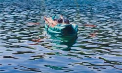 Like Two Peas in a Pod